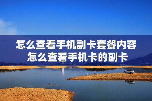 怎么查看手机副卡套餐内容 怎么查看手机卡的副卡