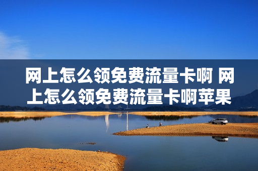 网上怎么领免费流量卡啊 网上怎么领免费流量卡啊苹果手机