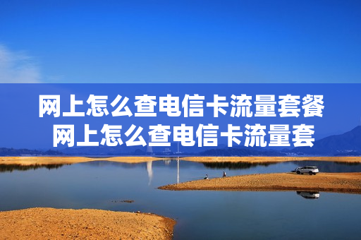 网上怎么查电信卡流量套餐 网上怎么查电信卡流量套餐详情