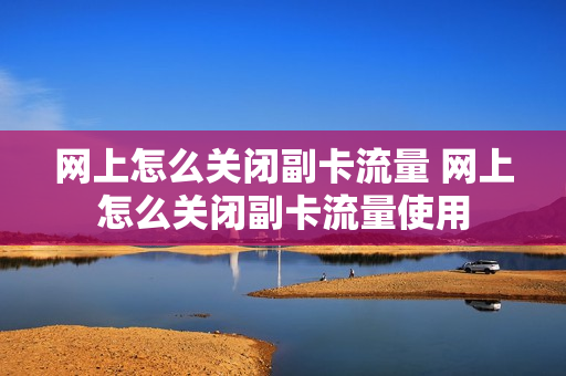 网上怎么关闭副卡流量 网上怎么关闭副卡流量使用