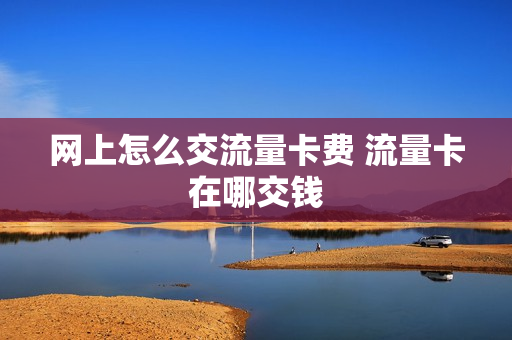 网上怎么交流量卡费 流量卡在哪交钱