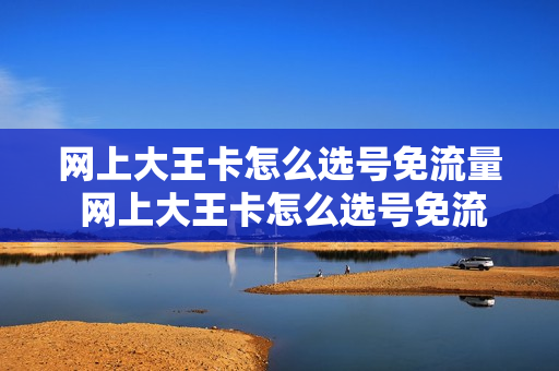 网上大王卡怎么选号免流量 网上大王卡怎么选号免流量的