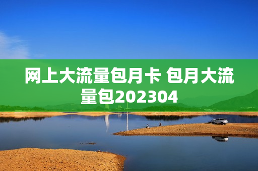 网上大流量包月卡 包月大流量包202304
