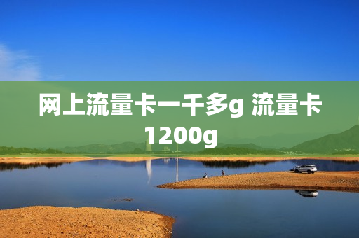 网上流量卡一千多g 流量卡1200g
