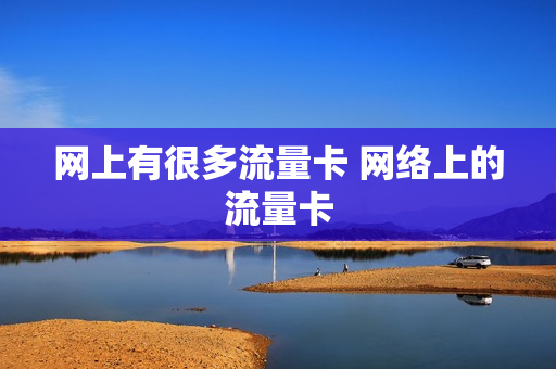 网上有很多流量卡 网络上的流量卡