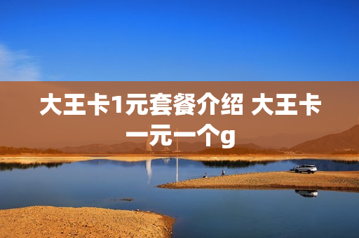 大王卡1元套餐介绍 大王卡一元一个g