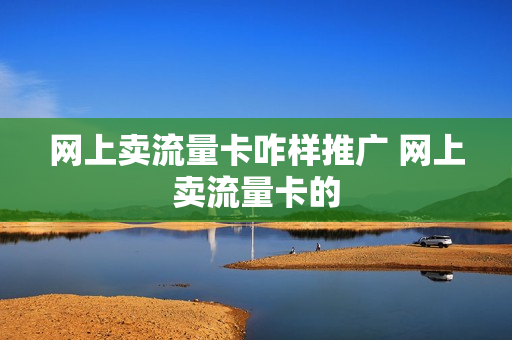 网上卖流量卡咋样推广 网上卖流量卡的