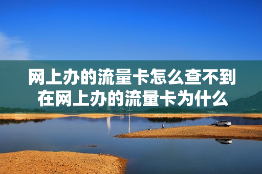 网上办的流量卡怎么查不到 在网上办的流量卡为什么卡的用不了