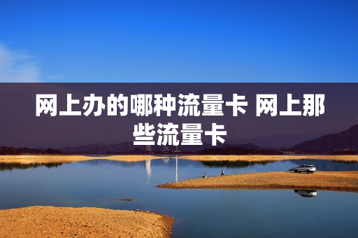 网上办的哪种流量卡 网上那些流量卡