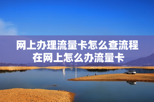 网上办理流量卡怎么查流程 在网上怎么办流量卡