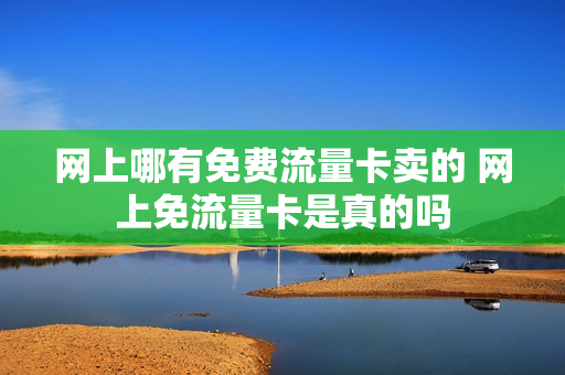 网上哪有免费流量卡卖的 网上免流量卡是真的吗