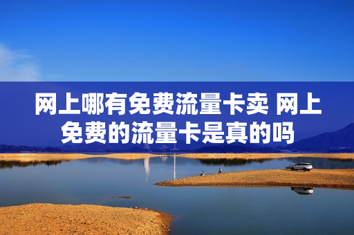 网上哪有免费流量卡卖 网上免费的流量卡是真的吗