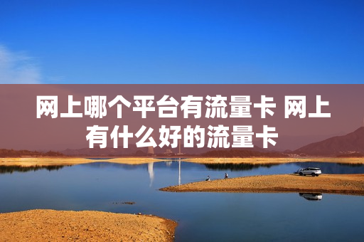 网上哪个平台有流量卡 网上有什么好的流量卡