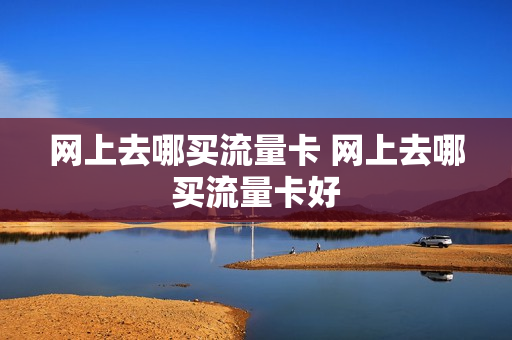 网上去哪买流量卡 网上去哪买流量卡好
