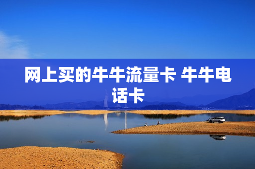 网上买的牛牛流量卡 牛牛电话卡