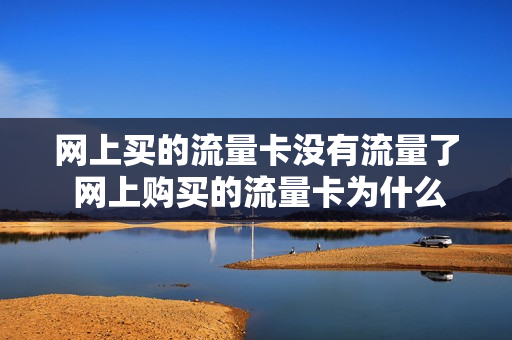 网上买的流量卡没有流量了 网上购买的流量卡为什么没有信号