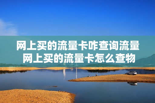 网上买的流量卡咋查询流量 网上买的流量卡怎么查物流