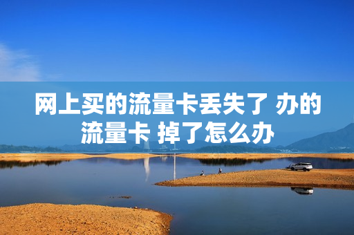 网上买的流量卡丢失了 办的流量卡 掉了怎么办