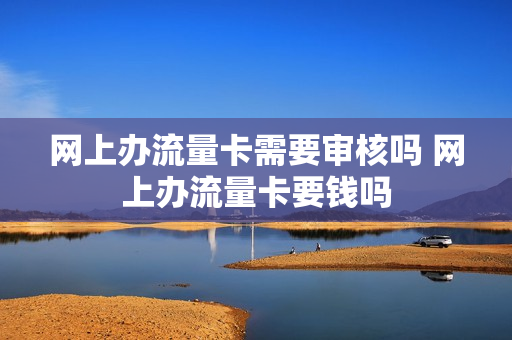 网上办流量卡需要审核吗 网上办流量卡要钱吗