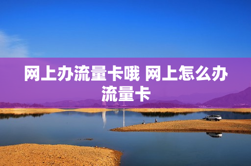 网上办流量卡哦 网上怎么办流量卡