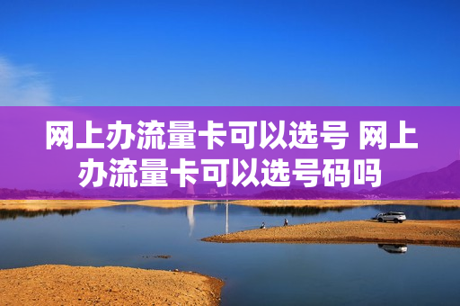网上办流量卡可以选号 网上办流量卡可以选号码吗
