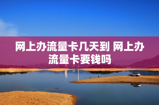 网上办流量卡几天到 网上办流量卡要钱吗
