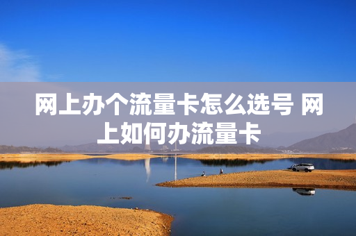 网上办个流量卡怎么选号 网上如何办流量卡