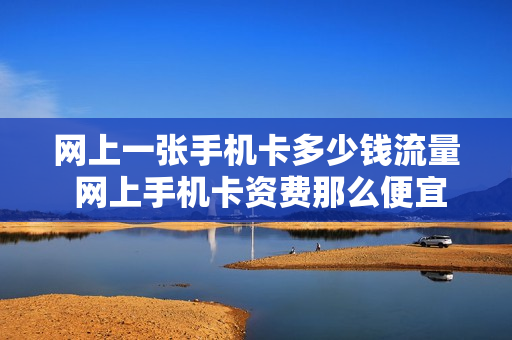 网上一张手机卡多少钱流量 网上手机卡资费那么便宜