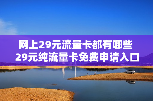 网上29元流量卡都有哪些 29元纯流量卡免费申请入口