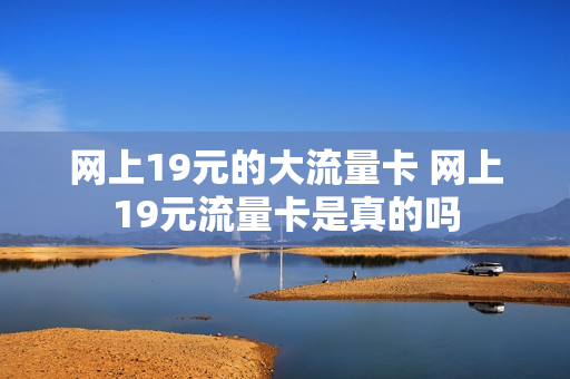 网上19元的大流量卡 网上19元流量卡是真的吗