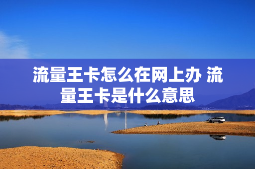 流量王卡怎么在网上办 流量王卡是什么意思