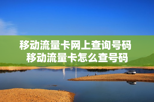 移动流量卡网上查询号码 移动流量卡怎么查号码