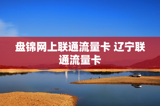 盘锦网上联通流量卡 辽宁联通流量卡