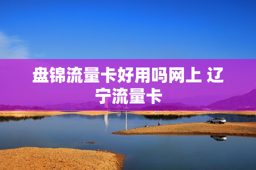 盘锦流量卡好用吗网上 辽宁流量卡