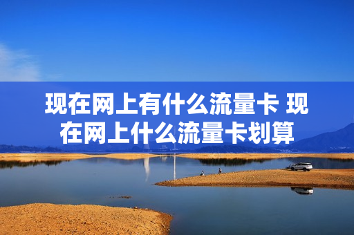 现在网上有什么流量卡 现在网上什么流量卡划算