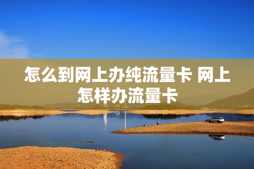 怎么到网上办纯流量卡 网上怎样办流量卡