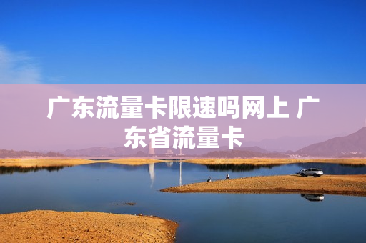 广东流量卡限速吗网上 广东省流量卡