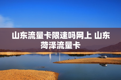 山东流量卡限速吗网上 山东菏泽流量卡