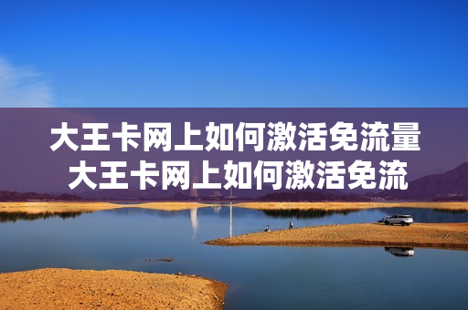 大王卡网上如何激活免流量 大王卡网上如何激活免流量的