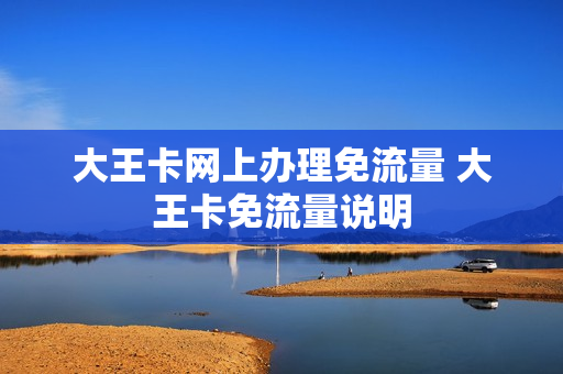 大王卡网上办理免流量 大王卡免流量说明