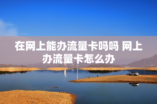 在网上能办流量卡吗吗 网上办流量卡怎么办