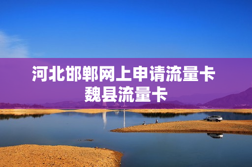 河北邯郸网上申请流量卡 魏县流量卡