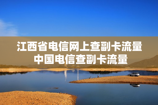 江西省电信网上查副卡流量 中国电信查副卡流量
