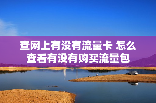 查网上有没有流量卡 怎么查看有没有购买流量包