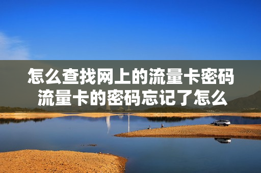 怎么查找网上的流量卡密码 流量卡的密码忘记了怎么找到