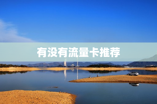 有没有流量卡推荐
