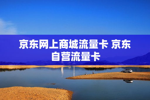 京东网上商城流量卡 京东自营流量卡