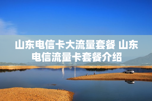山东电信卡大流量套餐 山东电信流量卡套餐介绍
