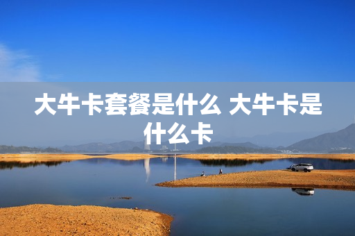 大牛卡套餐是什么 大牛卡是什么卡