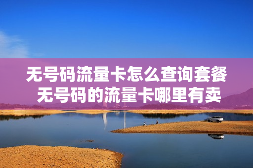 无号码流量卡怎么查询套餐 无号码的流量卡哪里有卖